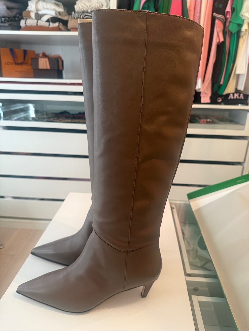 J. Crew Tall Pointed-Toe Brown Leather Knee Boots